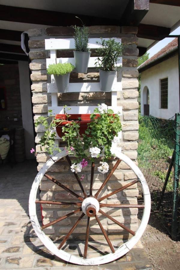 Palic Vila Masa Pr Emina Stipancevic エクステリア 写真