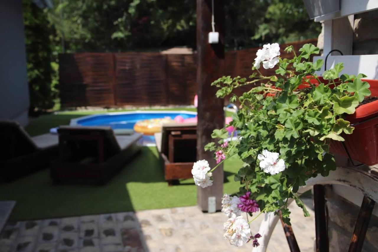Palic Vila Masa Pr Emina Stipancevic エクステリア 写真