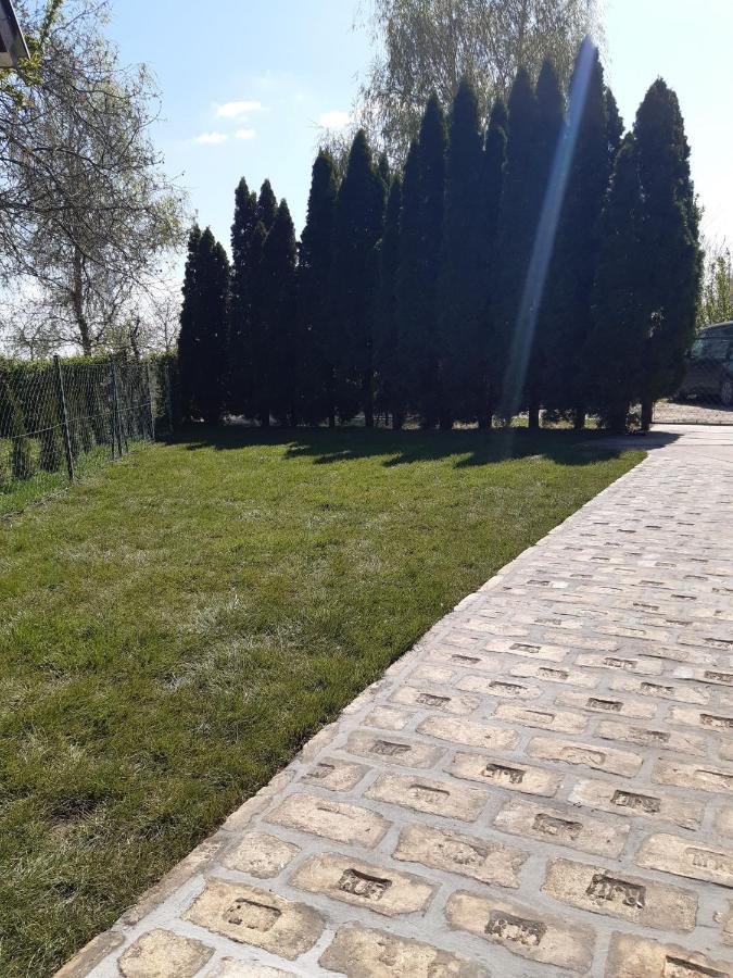 Palic Vila Masa Pr Emina Stipancevic エクステリア 写真