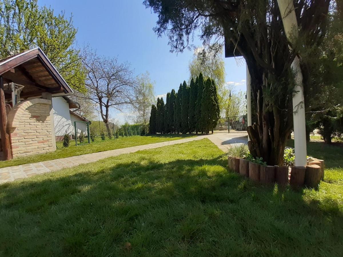 Palic Vila Masa Pr Emina Stipancevic エクステリア 写真