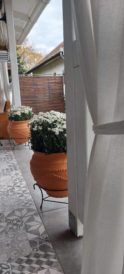 Palic Vila Masa Pr Emina Stipancevic エクステリア 写真