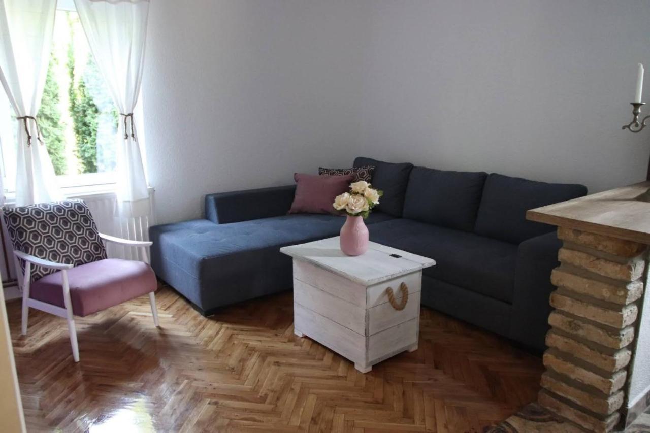 Palic Vila Masa Pr Emina Stipancevic エクステリア 写真