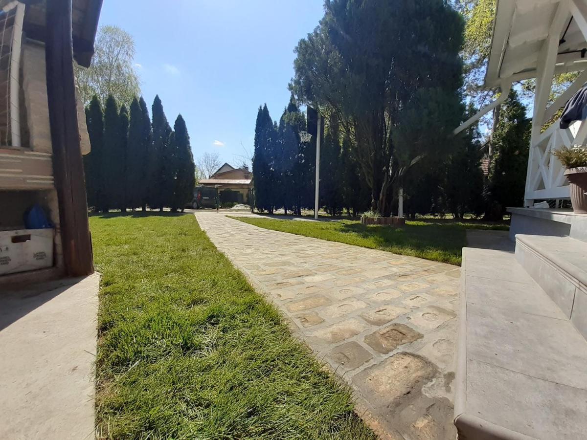 Palic Vila Masa Pr Emina Stipancevic エクステリア 写真